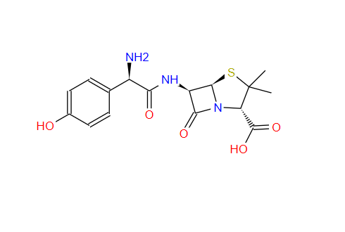 阿莫西林,Amoxicillin