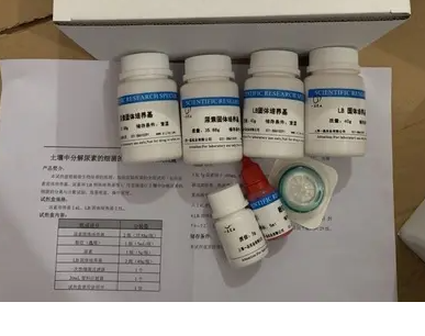 前病毒染料法熒光定量PCR試劑盒HIV-2 Provirus HIV-2