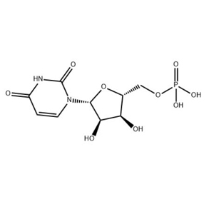 尿苷酸,UMP