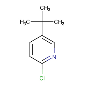 5-(叔丁基)-2-氯吡啶,5-(tert-Butyl)-2-chloropyridine