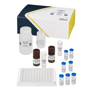 失憶性貝類毒素(ASP)檢測試劑盒,DomoicAcid (ASP) ELISA Test Kit