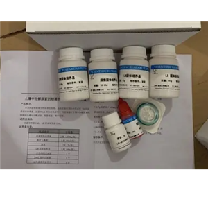 前病毒染料法熒光定量PCR試劑盒HIV-2 Provirus HIV-2