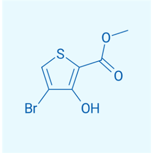 4-溴-3-羟基噻吩-2-羧酸甲酯  95201-93-7