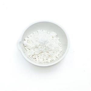 鹽酸埃羅替尼,Erlotinibhydrochloride