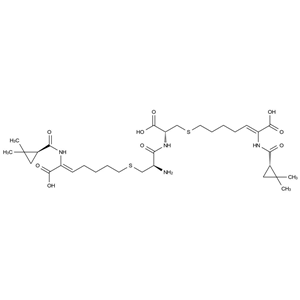 西司他丁二聚體,Cilastatin Dimer