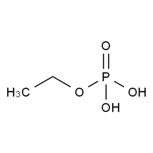 CATO_磷酸肌酸杂质13_1623-14-9_97%