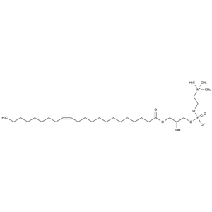 卵磷脂雜質(zhì)3,Lecithin Impurity 3