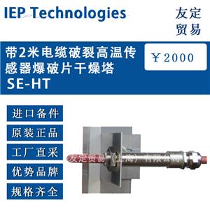 lEP Technologies 帶2米電纜破裂高溫傳感器爆破片干燥塔SE-HT