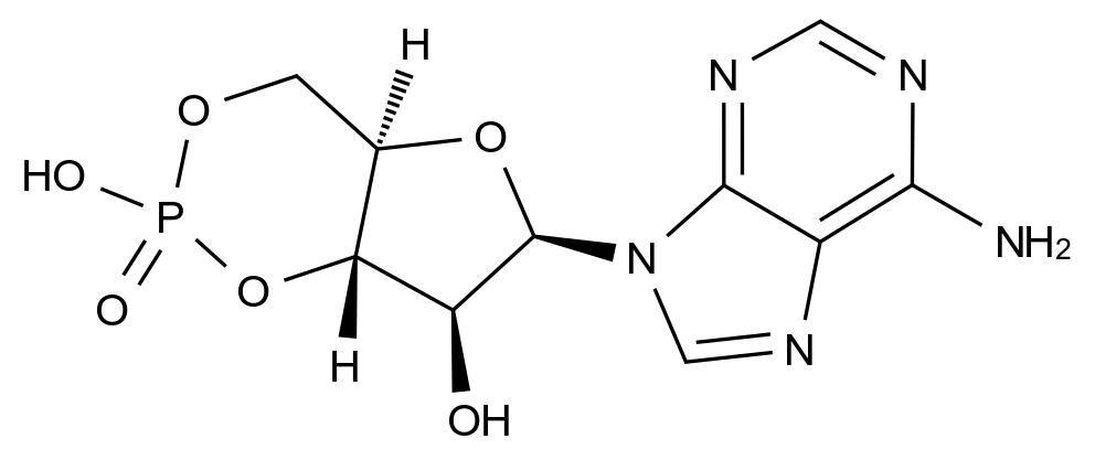 環(huán)磷酸腺苷雜質(zhì)1,Adenosine Cyclophosphate Impurity 1