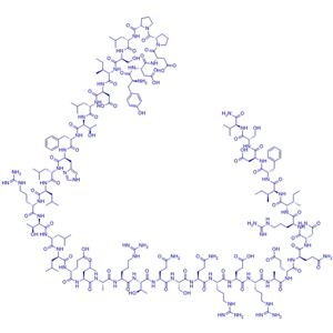 (Tyr0)-Urocortin (rat)/187111-93-9/激動劑多肽(Tyr0)-Urocortin (rat)