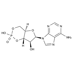 CATO_环磷酸腺苷杂质1_32465-18-2_97%