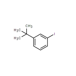 1-叔丁基-3-碘苯