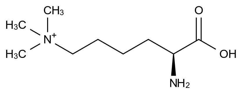 (S)-5-氨基-5-羧基-N,N,N-三甲基戊-1-銨,(S)-5-Amino-5-carboxy-N,N,N-trimethylpentan-1-aminium