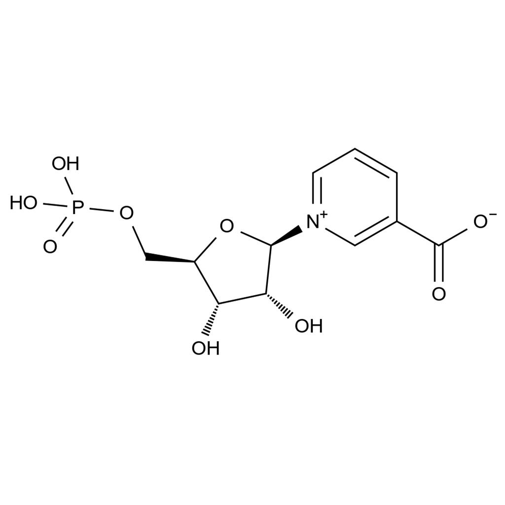 β-煙酸單核苷酸,b-Nicotinic Acid Mononucleotide