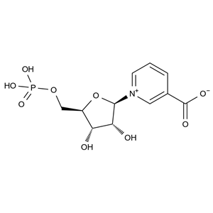 CATO_β-煙酸單核苷酸_321-02-8_97%