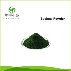 裸藻粉,Euglena Powder