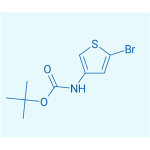 2-溴-4-(N-叔丁氧羰基胺基)噻吩  494833-75-9