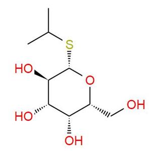 异丙基-beta-D-硫代半乳糖吡喃糖苷 