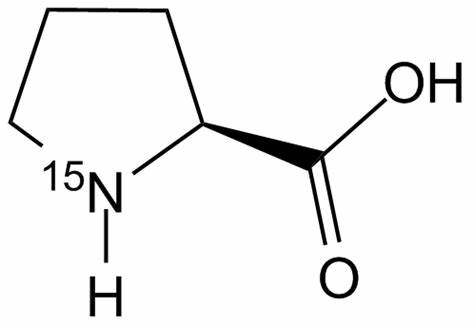 L-脯氨酸(13C5;15N),L-PROLINE(13C5; 15N)