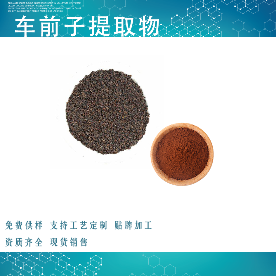 車前子提取物,Plantago Seed Extract