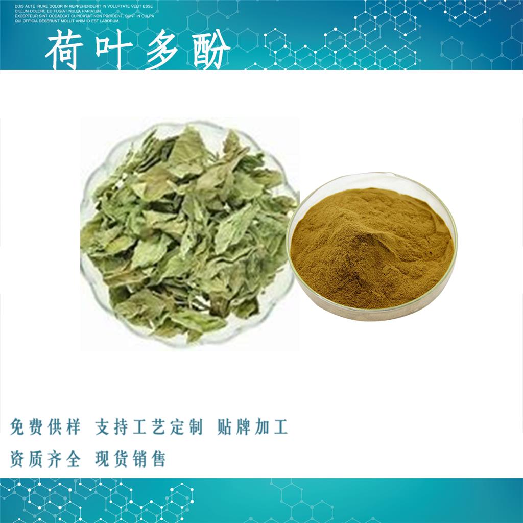 荷葉多酚,Lotus Leaf Extrac