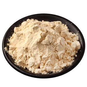 大豆蛋白粉,SOY PROTEIN