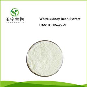 菜豆素,White kidney Bean Extract