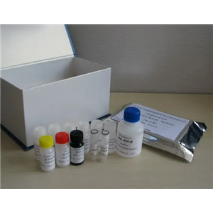 人皰疹病毒8型染料法熒光定量PCR試劑盒Human Herpesvirus-8(HHV-8)