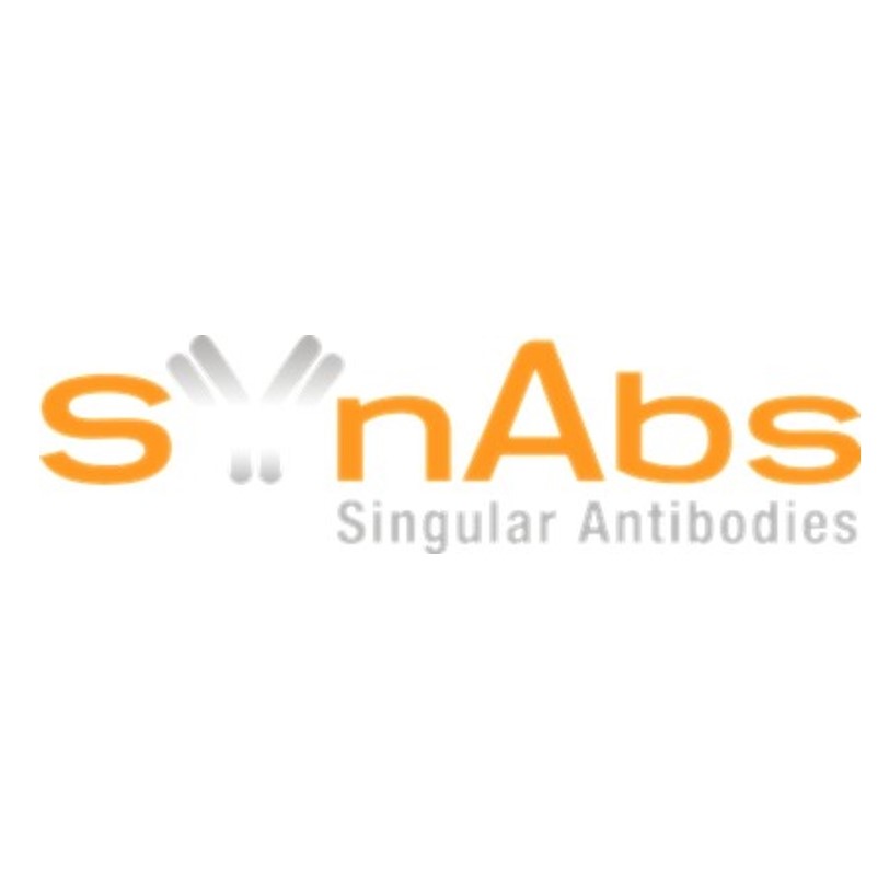 維百奧生物代理SYnAbs全系列產(chǎn)品,SYnAbs