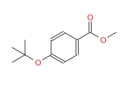 4-(叔丁氧基)苯甲酸甲酯,methyl 4-(tert-butoxy)benzoate