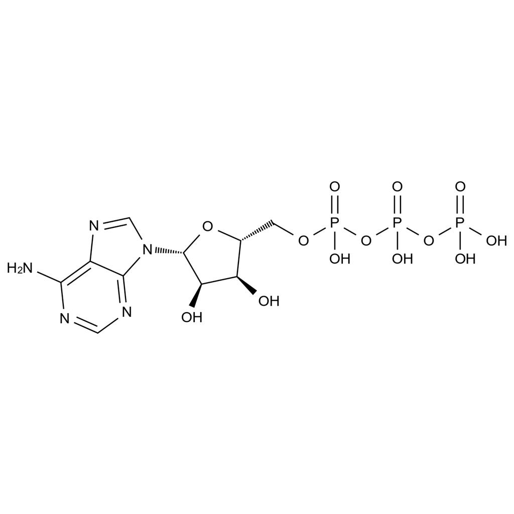 三磷酸腺苷,Adenosine Triphosphate