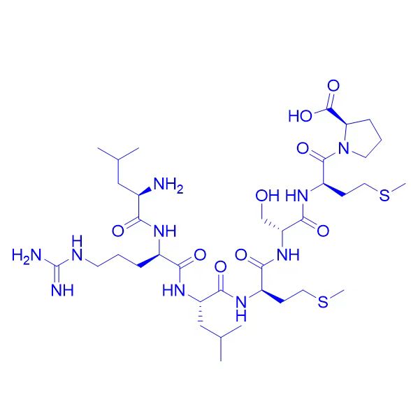 肌調(diào)蛋白片段多肽,Myomodulin