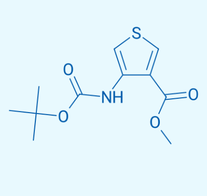 4-TERT-叔丁氧羰氨基噻吩-3-羧酸甲酯,Methyl 4-((tert-butoxycarbonyl)amino)thiophene-3-carboxylate