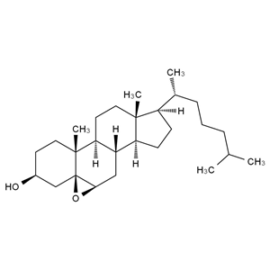 CATO_5β，6β-環(huán)氧膽甾醇_4025-59-6_97%