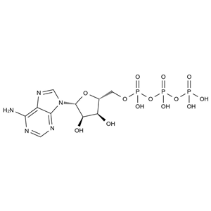CATO_三磷酸腺苷_56-65-5_97%