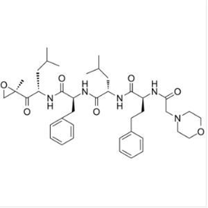 卡非佐米,Carfilzomib