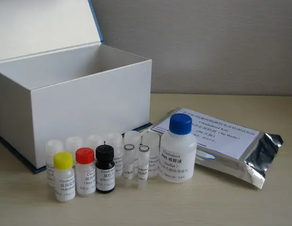 奮森疏螺旋體染料法熒光定量PCR試劑盒Borrelia vincenti