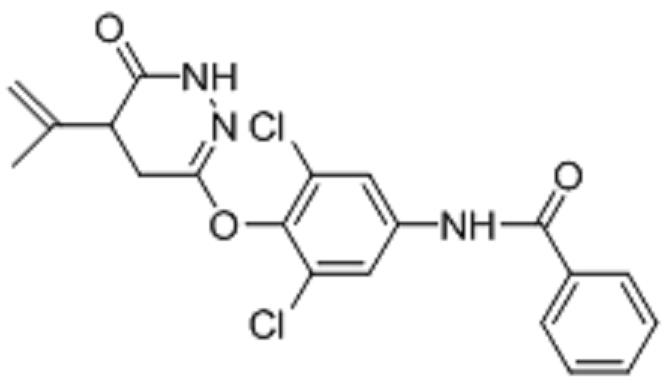 N-(3,5-二氯 -4-(6-氧代 -5-(支撐物 -1-烯 -2-基) -1,4,5,6-四氫噠嗪 -3-基)氧基)苯基)苯甲酰胺,N-(3,5-dichloro-4-((6-oxo-5-(prop-1-en-2-yl)-1,4,5,6-tetrahydropyridazin-3-yl)oxy)phenyl)benzamide