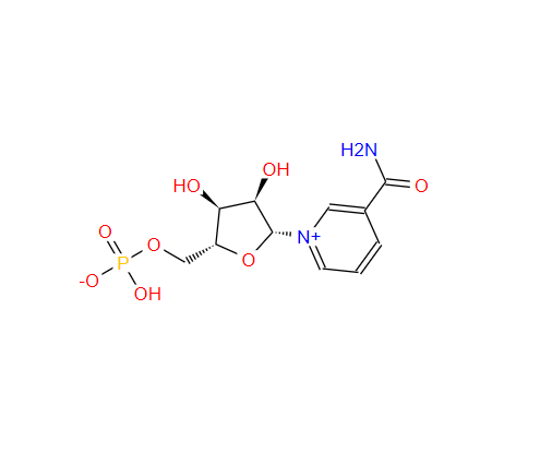 β-煙酰胺單核苷酸,Beta-nicotinamidemononucleotide