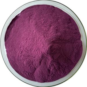 藍(lán)莓粉,Blueberry powder