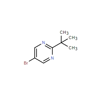 對叔丁基苯甲酰肼,4-tert-Butylbenzhydrazide