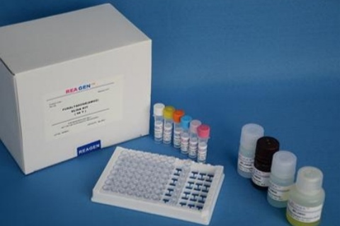 人腺病毒D87型探針法熒光定量PCR試劑盒Human Adenovirus D87（HAdV-D87）