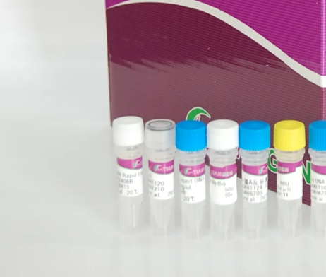 人腺病毒D84型探針法熒光定量PCR試劑盒Human Adenovirus D84（HAdV-D84）