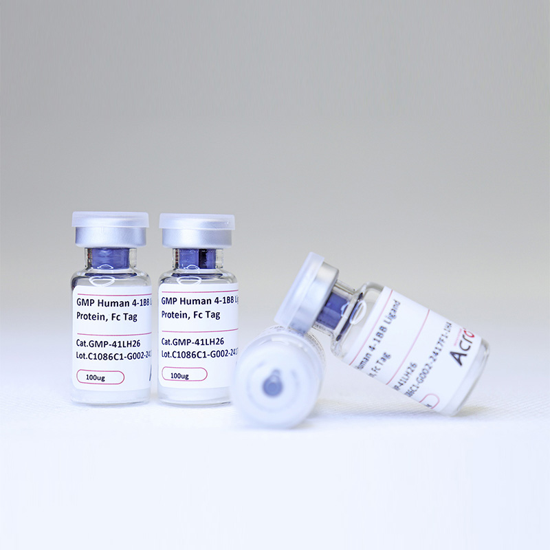 GMP 4-1BBL蛋白,GMP 4-1BBL Protein