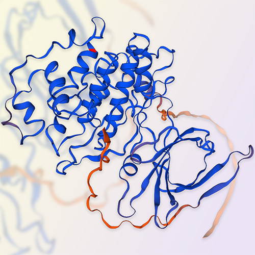 GSK-3 beta蛋白,GSK-3 beta