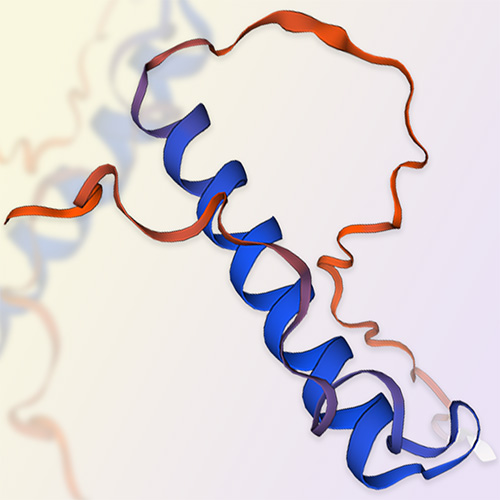 Neurogranin蛋白,Neurogranin