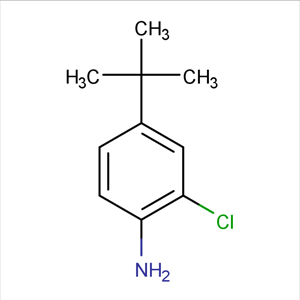 4-(叔丁基)-2-氯苯胺,4-(TERT-BUTYL)-2-CHLOROANILINE