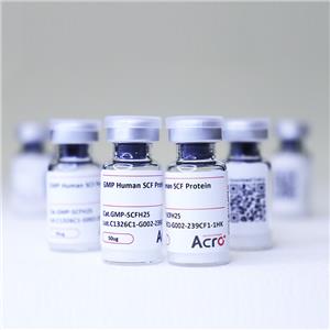 GMP重組人SCF蛋白-ACROBiosystems百普賽斯