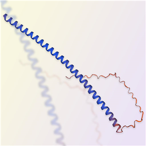 α突触核蛋白（α-synuclein）-ACROBiosystems百普赛斯