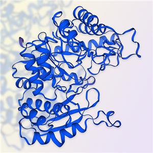 NSE蛋白-ACROBiosystems百普赛斯